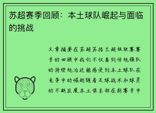 苏超赛季回顾：本土球队崛起与面临的挑战